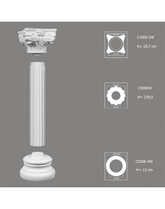 Kompletna Kolumna C3000W