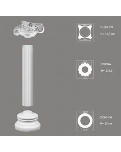 Kompletna Kolumna C3000W-1