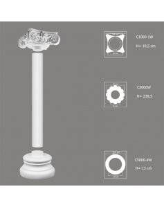 Kompletna Kolumna C4000W-1