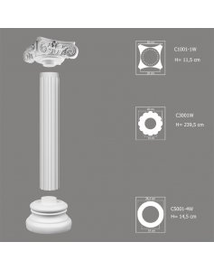 Kompletna Kolumna C3001W-1